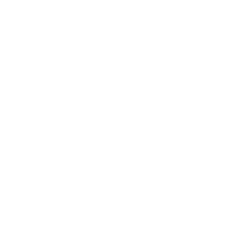 DN Logo